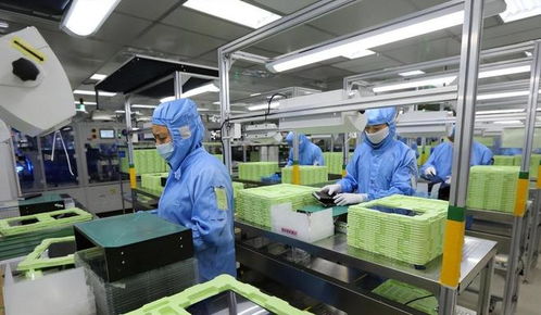 東莞封裝廠斷供，荷蘭急求合作解禁